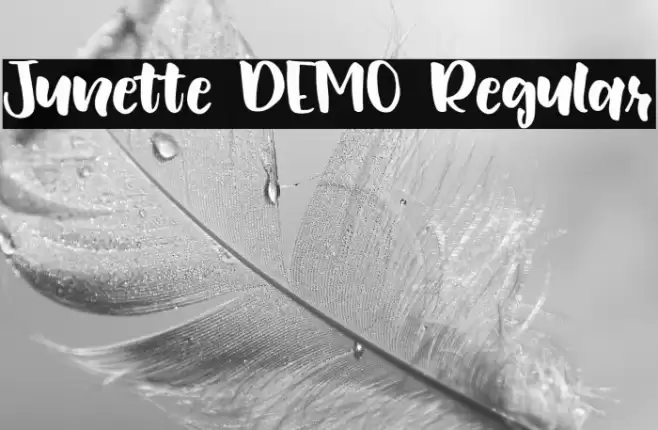 Junette DEMO Regular Font examples