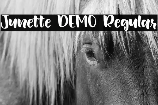 Junette DEMO Regular Font examples