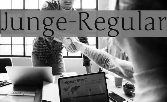 Junge-Regular خط examples