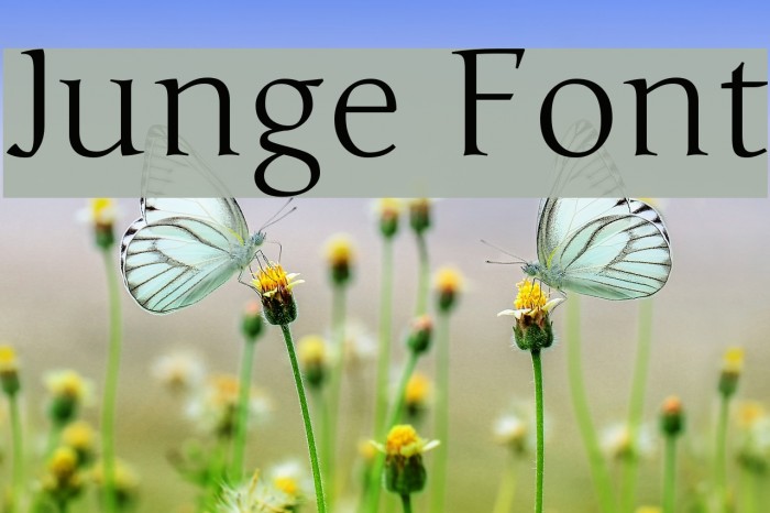 Junge Font examples