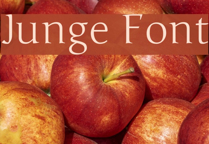 Junge Font examples