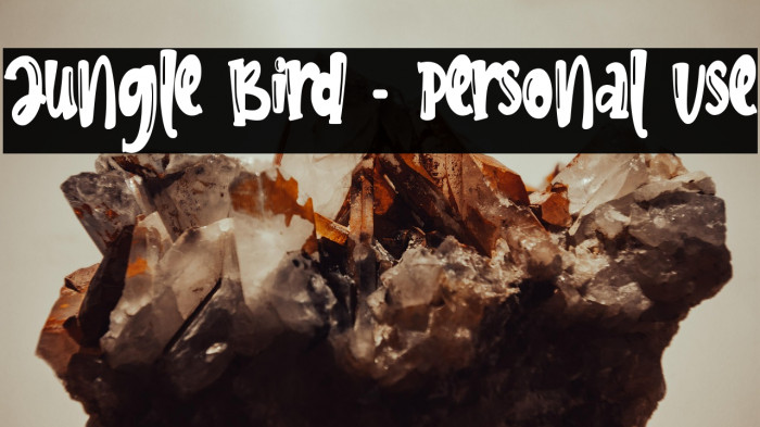 Jungle Bird - Personal Use Example 1