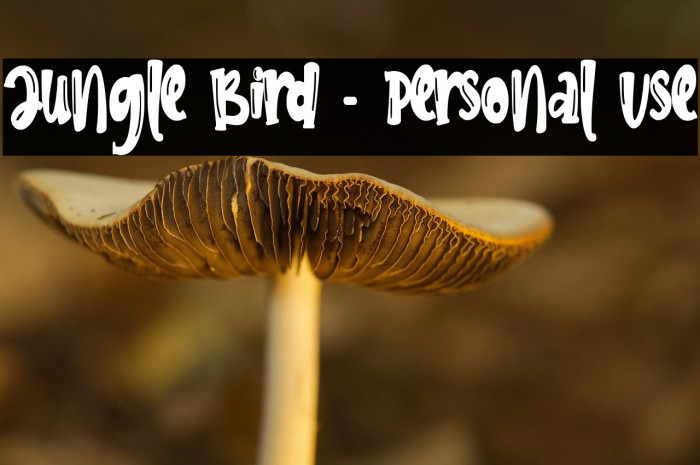 Jungle Bird - Personal Use Example 3