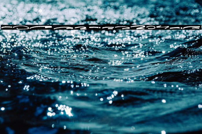 Jungle Bloods Swash Example 2