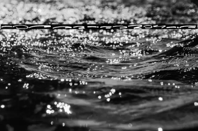 Jungle Bloods Swash Font examples