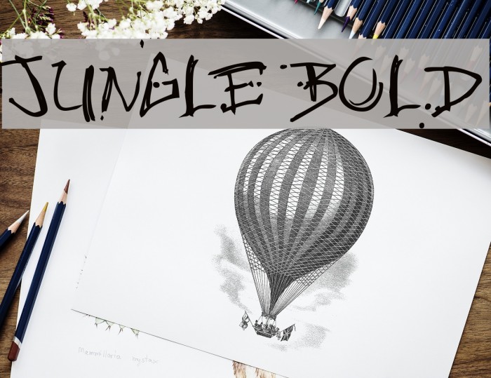 Jungle Bold Font examples