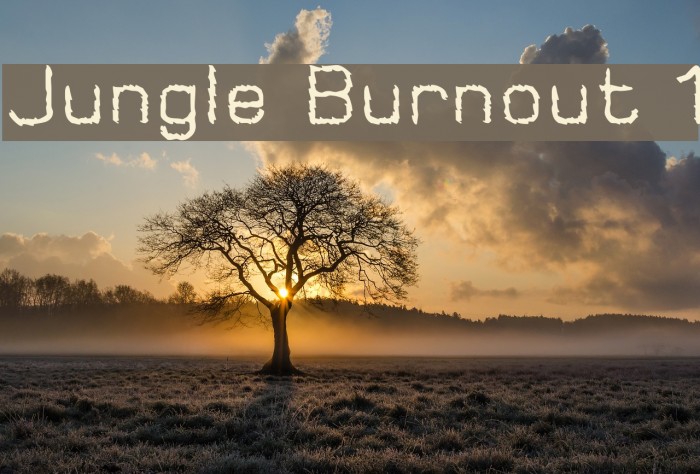Jungle Burnout 1 Font examples