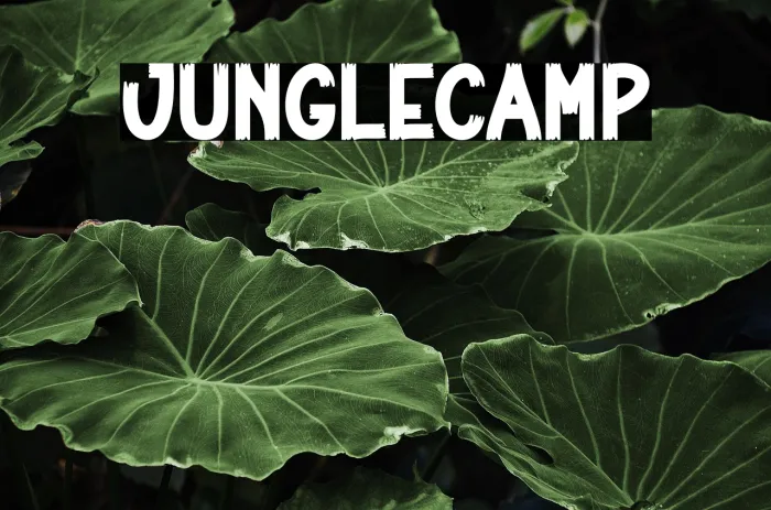 Jungle Camp Example 2