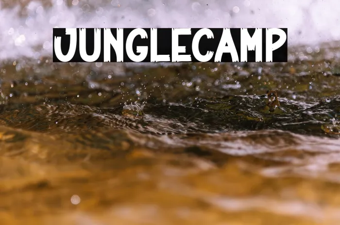 Jungle Camp Example 3