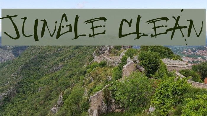 Jungle Clean Font examples