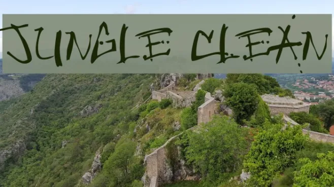 Jungle Clean Example 1