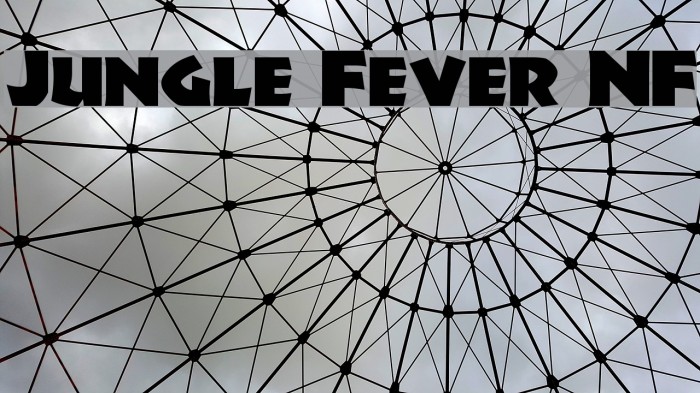 Jungle Fever NF Font examples