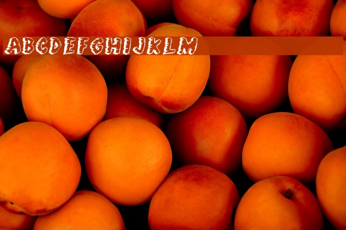 Jungle Fever Font examples