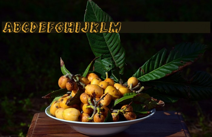 Jungle Fever Font examples