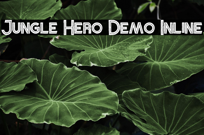 Jungle Hero Demo Inline Example 3