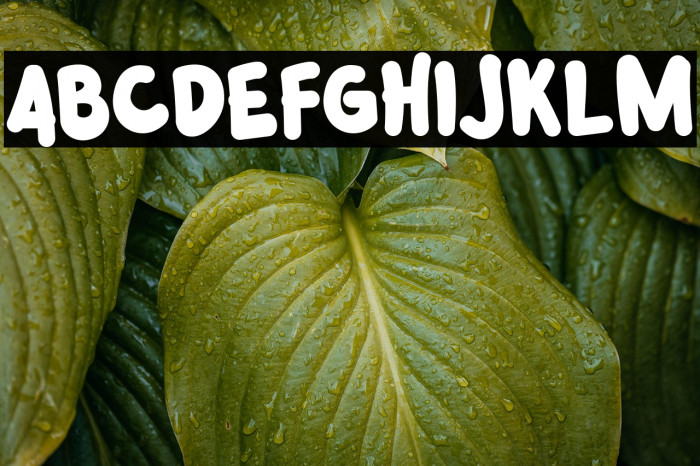 Jungle Hope Example 2