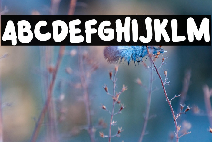 Jungle Hope Example 3