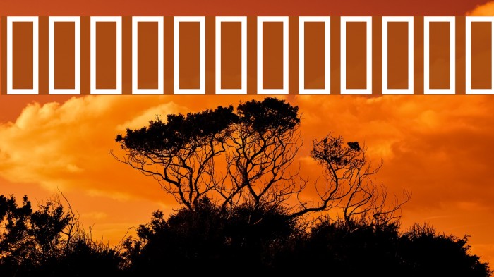 Jungle Juice Font examples