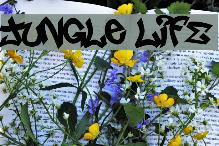 Jungle LIFE Caratteri examples