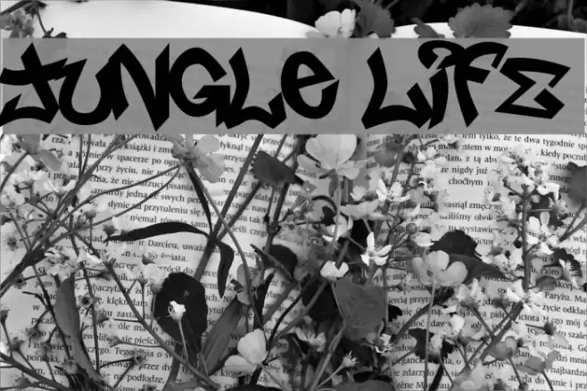 Jungle LIFE Font examples