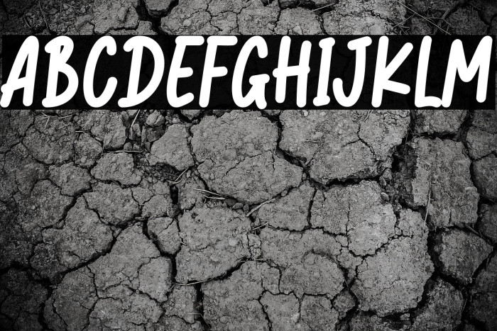 Jungle Monkey-Personal Use Example 1