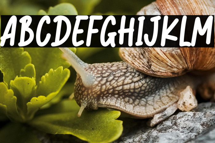 Jungle Monkey-Personal Use Example 2