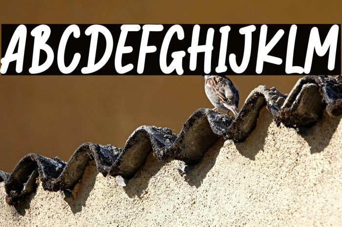 Jungle Monkey-Personal Use Example 3