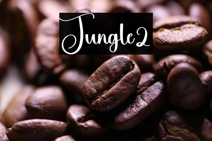 Jungle2 Example 2