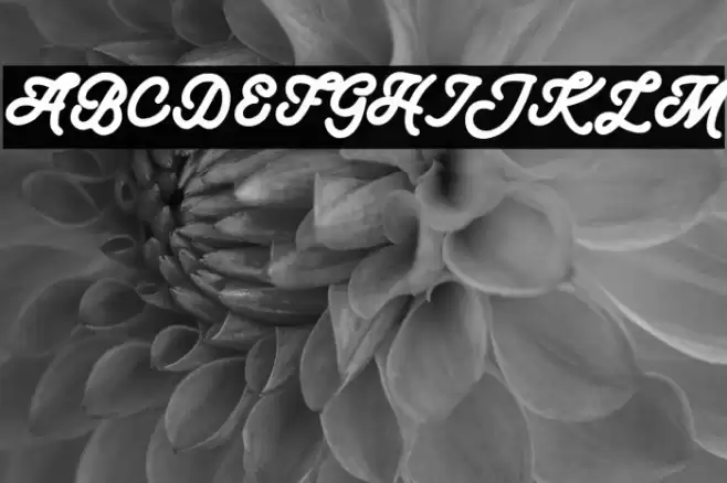 JungleFREE Font examples