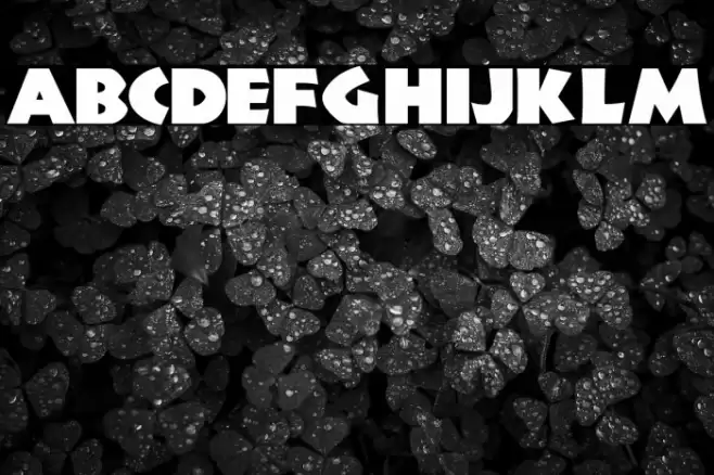 JungleFever Font examples