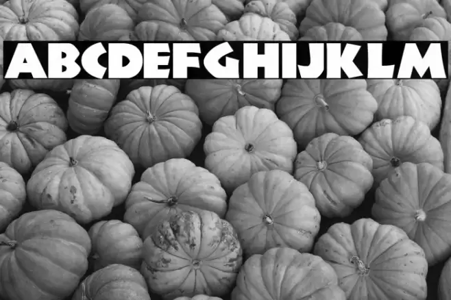 JungleFever Font examples