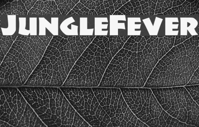 JungleFever Font examples