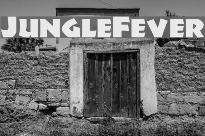 JungleFever Font examples