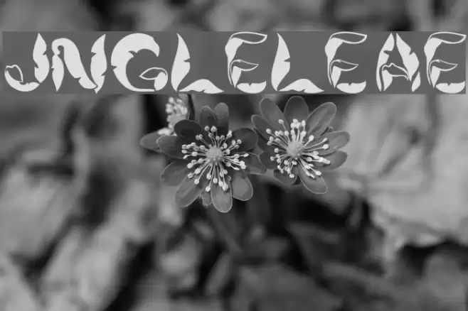 JungleLeaves Font examples