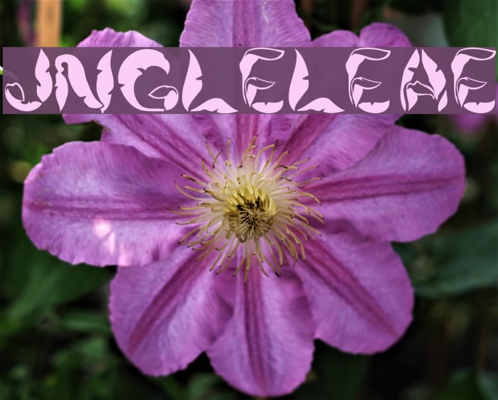 JungleLeaves Font examples