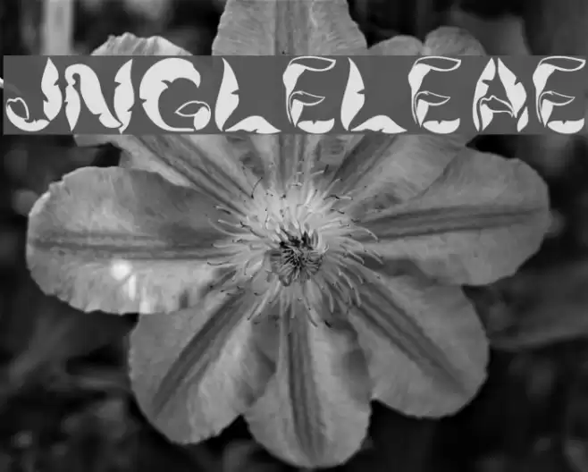 JungleLeaves Font examples