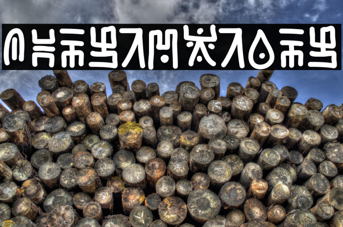 JungleSlang Example 1