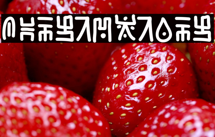 JungleSlang Example 2