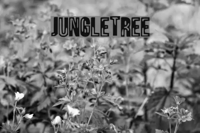 JungleTree Font examples