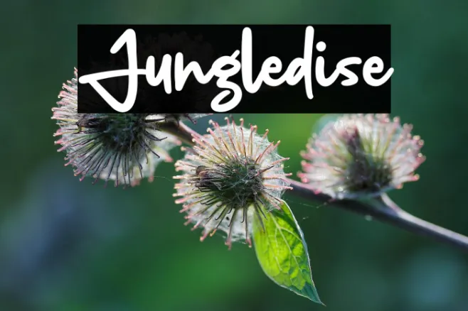 Jungledise Example 3