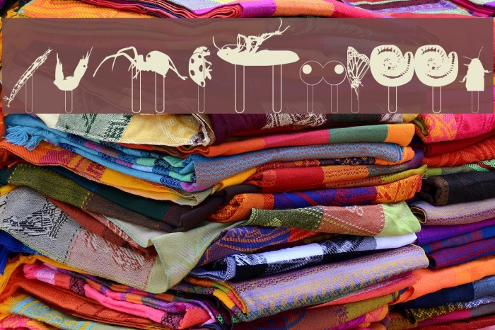 Junglefood Example 1