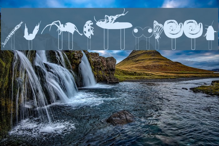 Junglefood Example 2