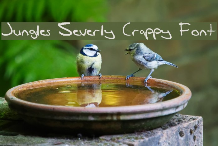 Jungles Severly Crappy Font Font examples
