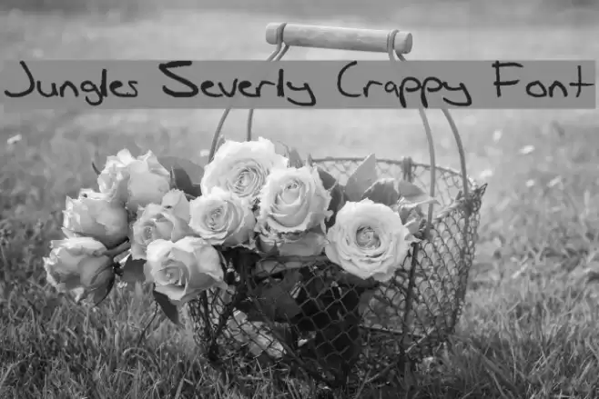 Jungles Severly Crappy Font Font examples