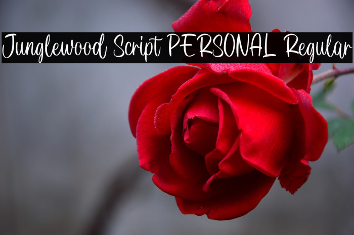 Junglewood Script PERSONAL Regular Example 1