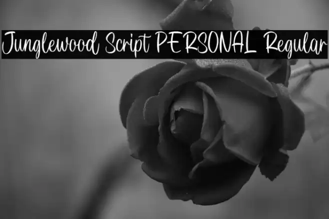 Junglewood Script PERSONAL Regular Font examples