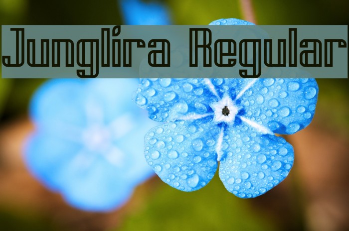 Junglira Regular Font examples