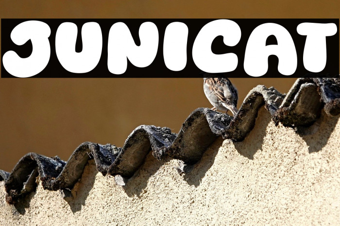 Junicat Example 1
