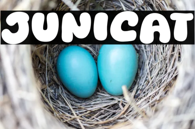 Junicat Example 2