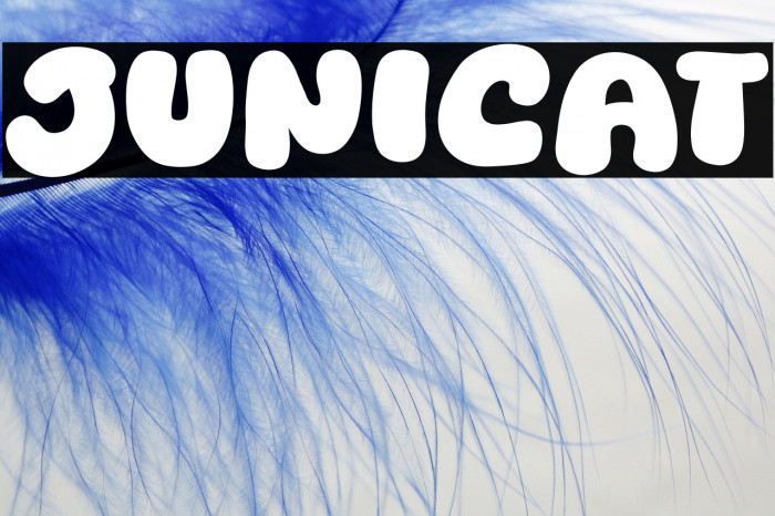 Junicat Example 3